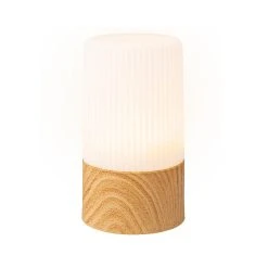 Kaemingk Lampe Led En Plastique D7.5xh13.5cm -SEMA design Boutique 633737 FRN02 WEB